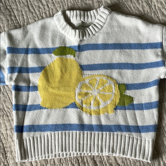 Striped Blue and White Sweater with Lemon Design - Picture 2 of 5